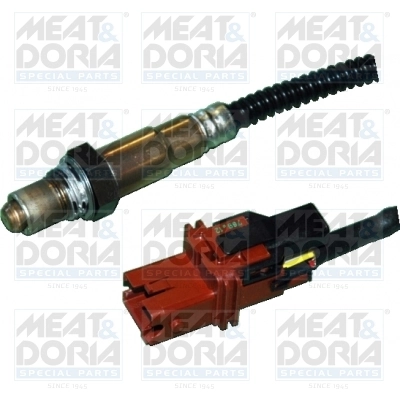 Oxygen Sensor